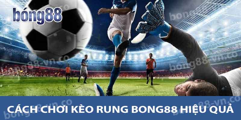 Khám Phá Kèo Rung Bong88 - Trò Chơi Cá Cược Đầy Hấp Dẫn 2 Cách chơi kèo rung Bong88 hiệu quả