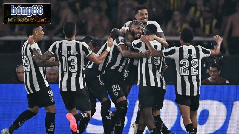 Phong độ hiện tại của đội bóng Botafogo RJ